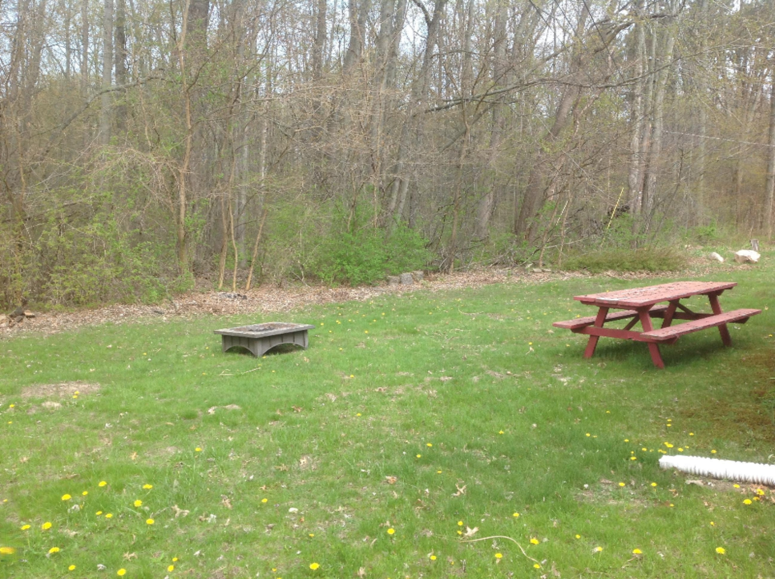7085 Lake Road Coloma, MI 49038 - Photo 4 of 20 IMG_1348