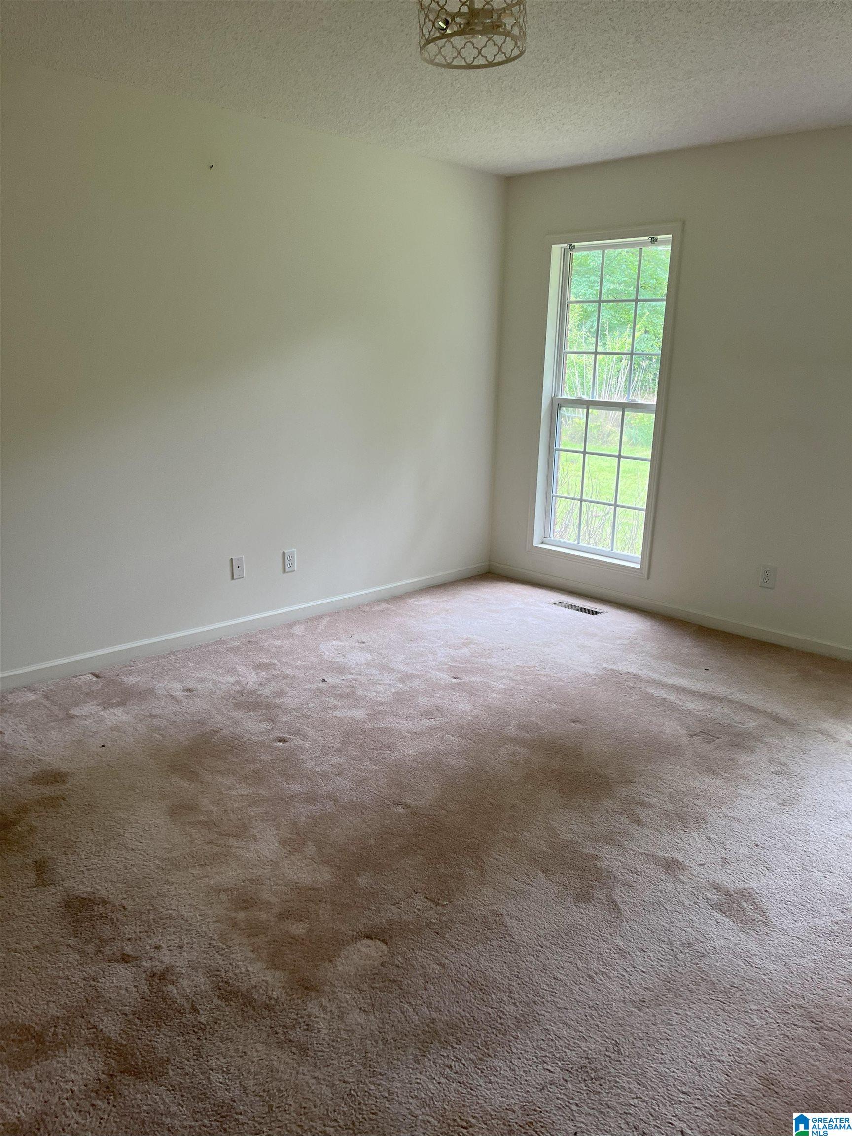 252 Timber Trail Ashville, AL 35953 - Photo 11 of 18