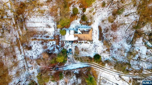 a city view with tall trees
