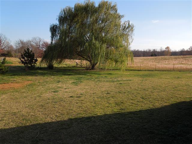 635 Hurricane Loop Tennessee Ridge, TN 37178 - Photo 20 of 20 Nice leve fenced area to the side of the property. Room for a horse, of course!