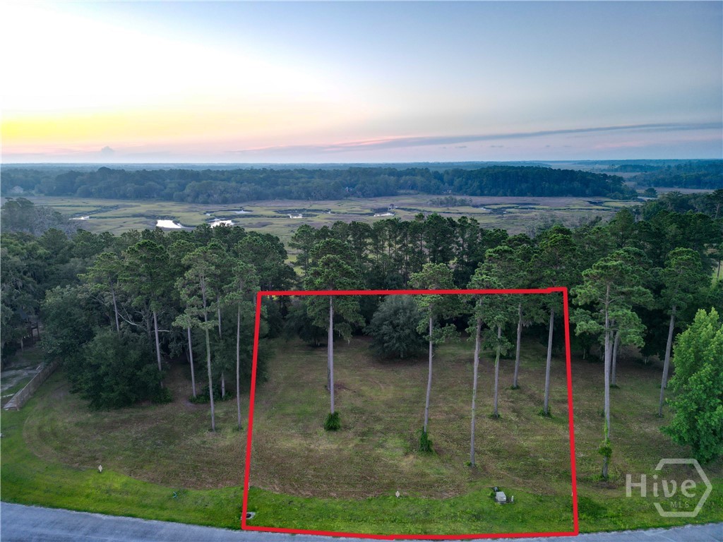 0 Northeast Baker Island Way, Unit LOT 11 Townsend, GA 31331 - Photo 4 of 29 Gallery Image 4