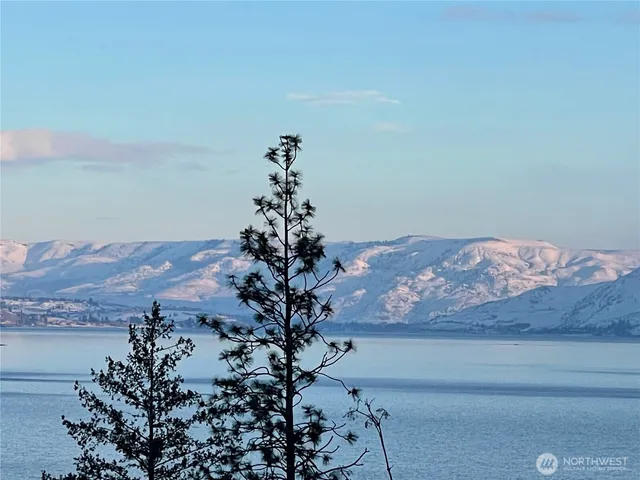 a vase of flowers sitting on a table