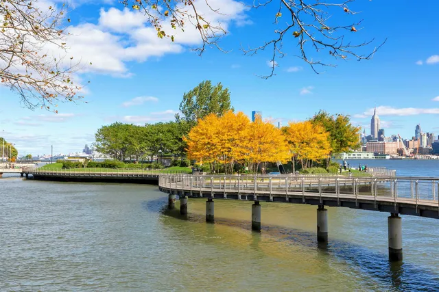 a backyard of a house with lots of plants and large trees
