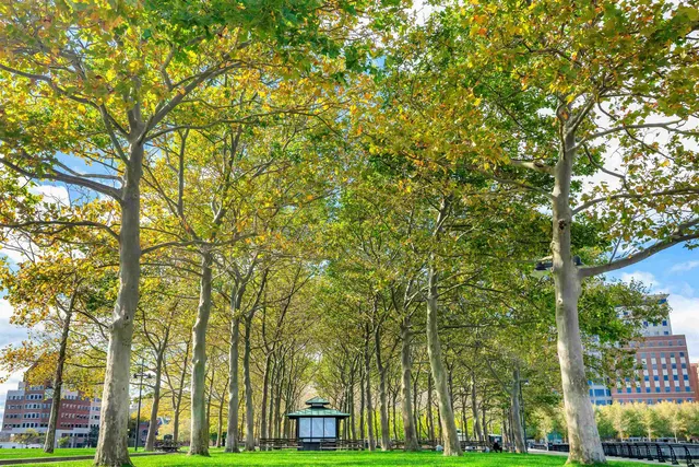 a front view of a residential apartment building with a yard