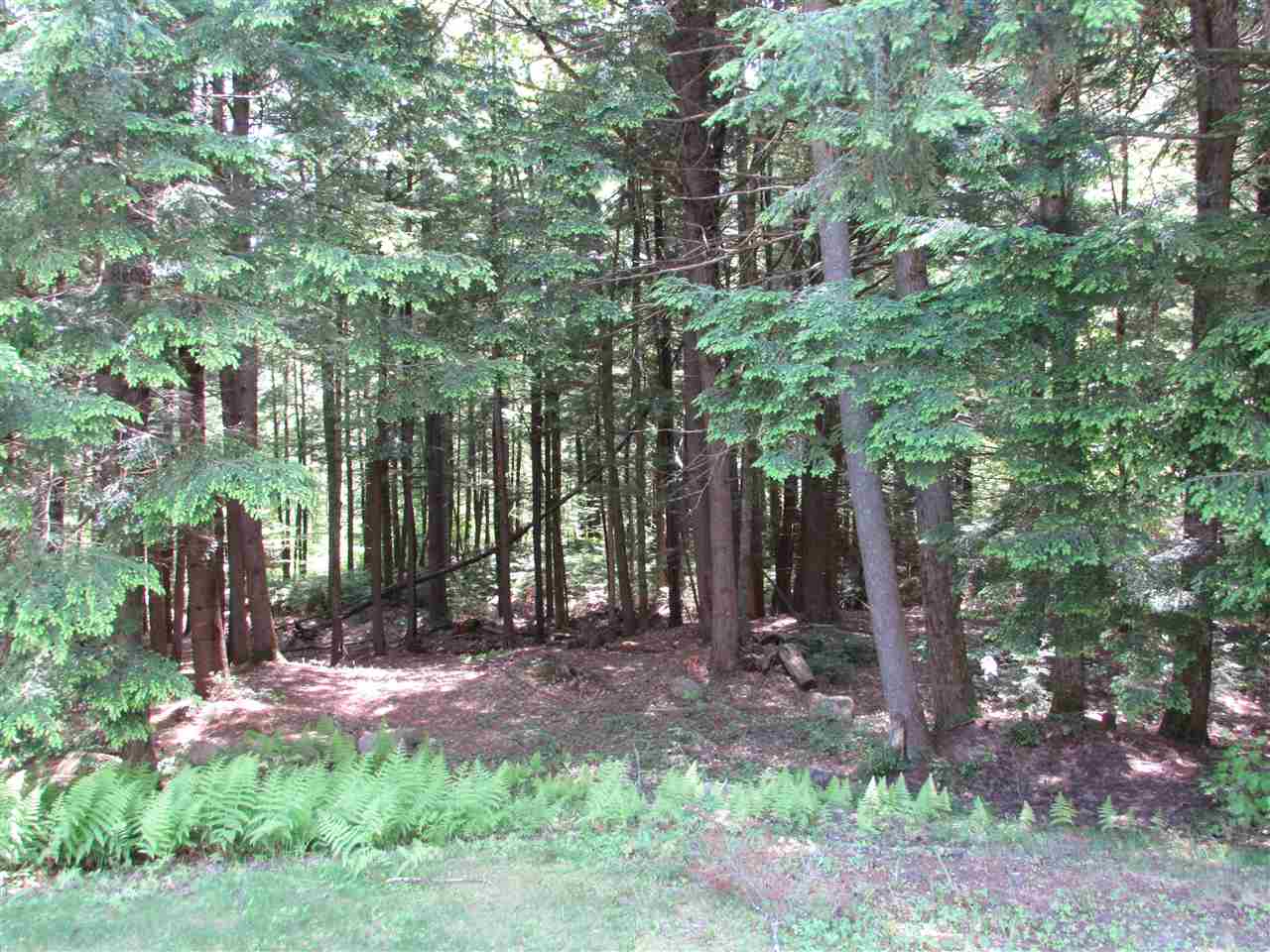 16 Roberts Road, Unit 5J Brookfield, NH 03872 - Photo 29 of 31