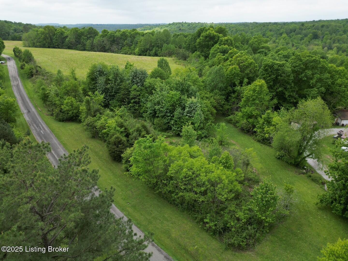 Lot 18 Duvall Road Caneyville, KY 42721 - Photo 4 of 6 L18-1