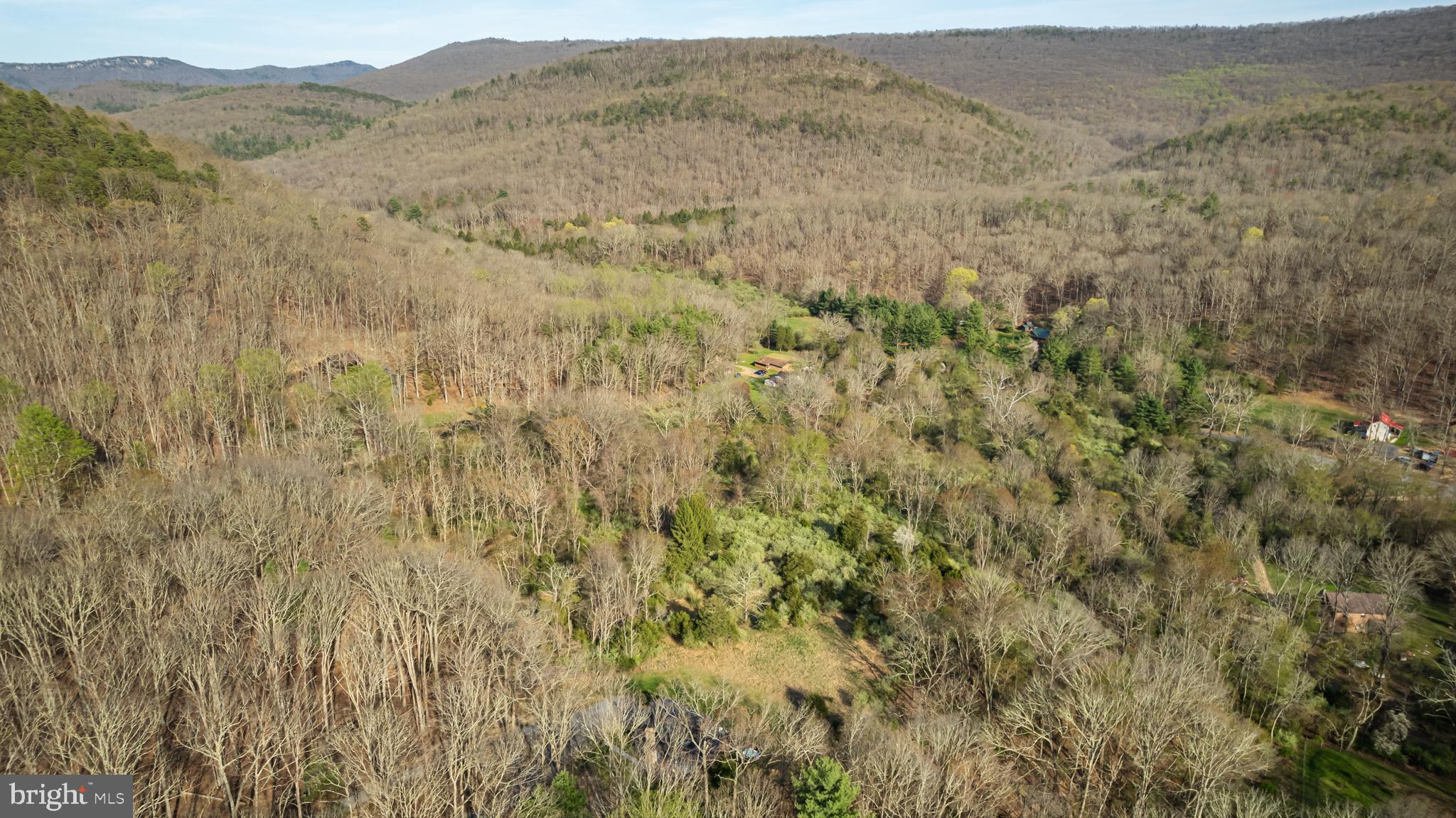 529 Posy Hill Road Lost City, WV 26810 - Photo 48 of 59 a view of a dry yard with mountains in the background