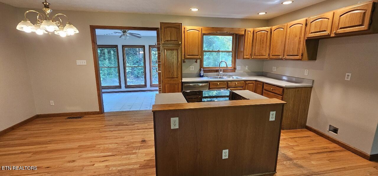 360 Front Street Luttrell, TN 37779 - Photo 10 of 53 17829109100084