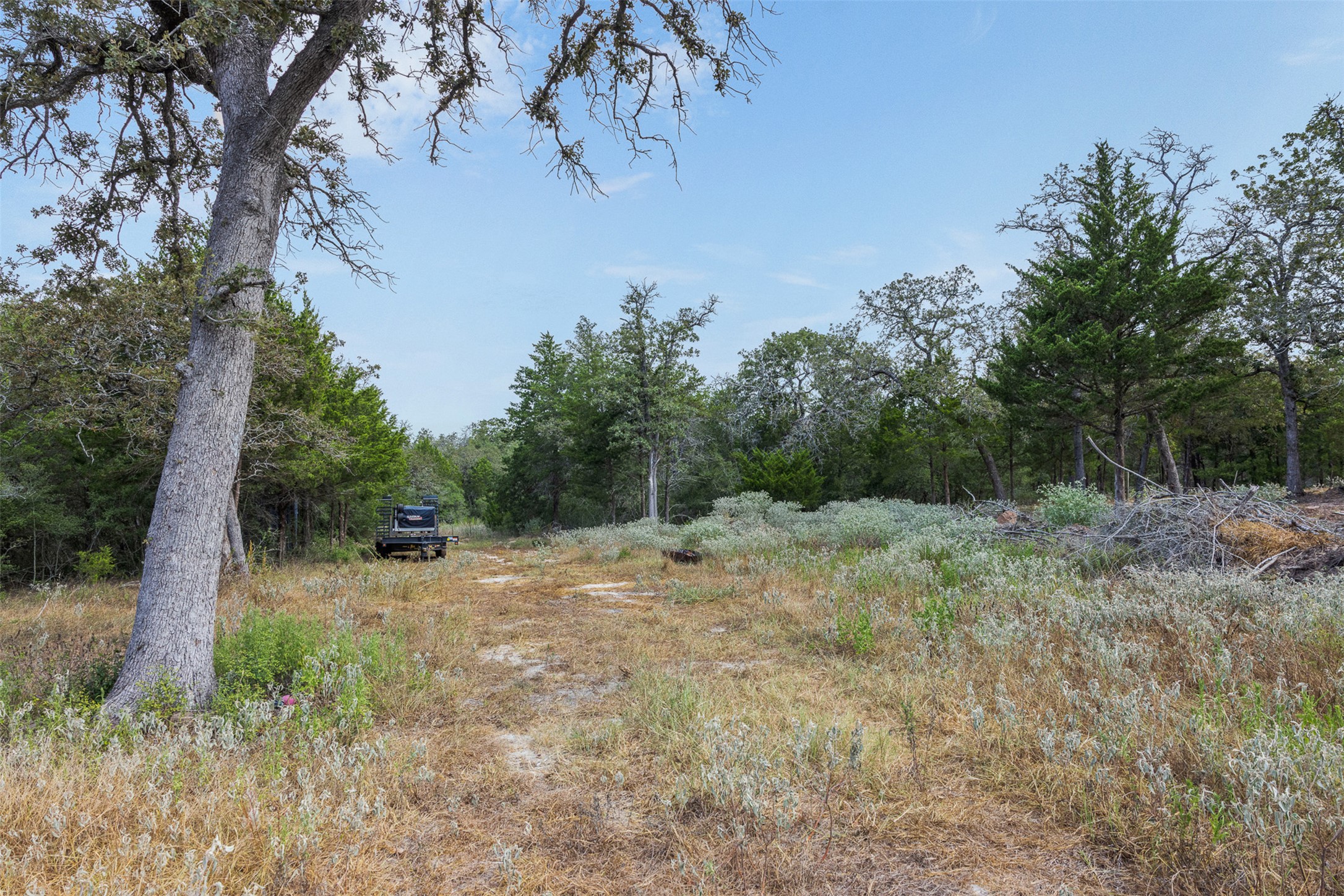 3301 Chuckwagon Road Harwood, TX 78632 - Photo 11 of 36 Mature trees frame a grassy path cutting through this secluded acreage under blue skies.