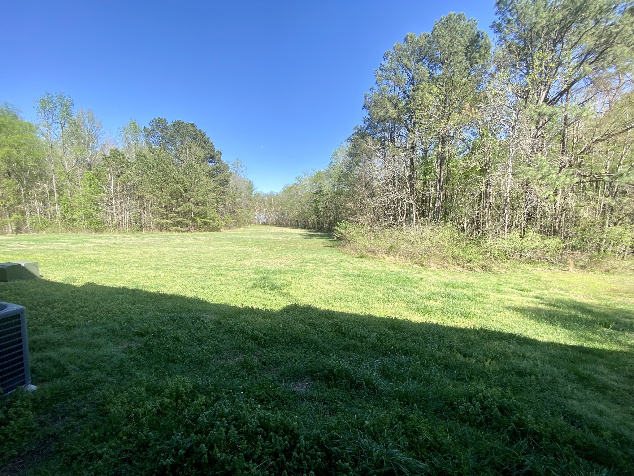 387 Pineview Drive Springville, TN 38256 - Photo 31 of 32