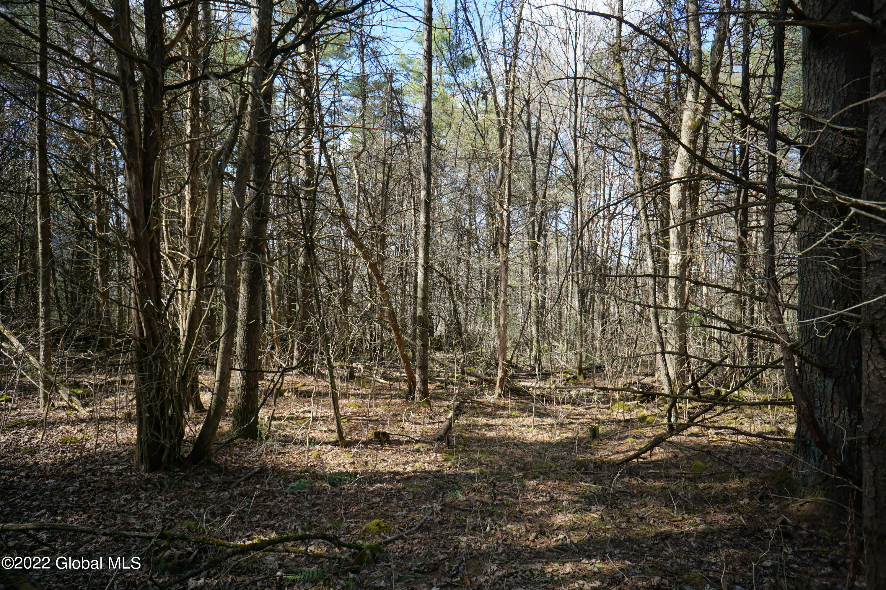 0 Hawk Road Comstock, NY 12821 - Photo 5 of 17 DSC05671