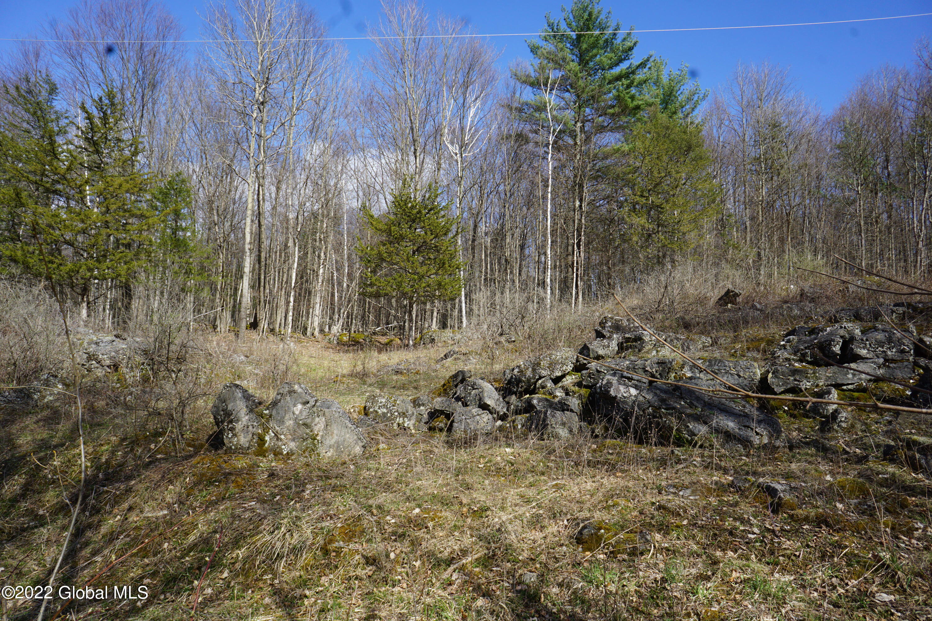 0 Hawk Road Comstock, NY 12821 - Photo 6 of 17 DSC05673