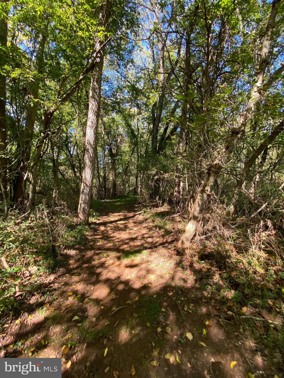 8546 Springs Road Warrenton, VA 20186 - Photo 15 of 36 Gallery Image 15