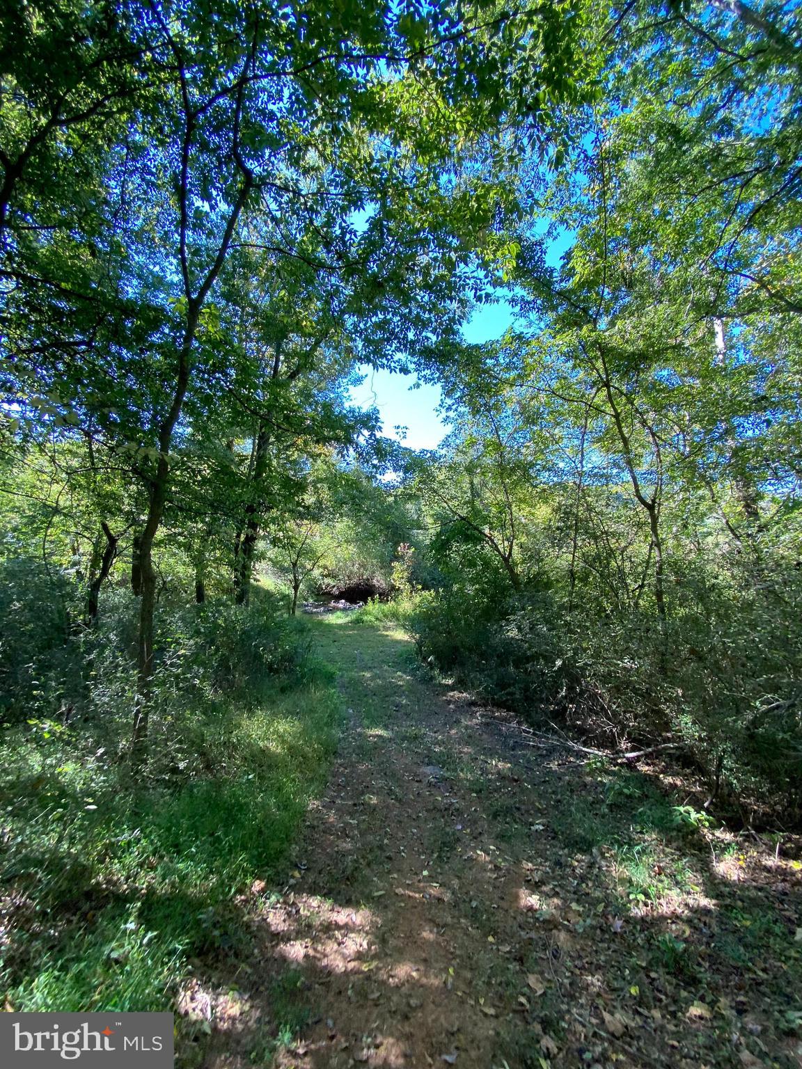 8546 Springs Road Warrenton, VA 20186 - Photo 18 of 36 Gallery Image 18