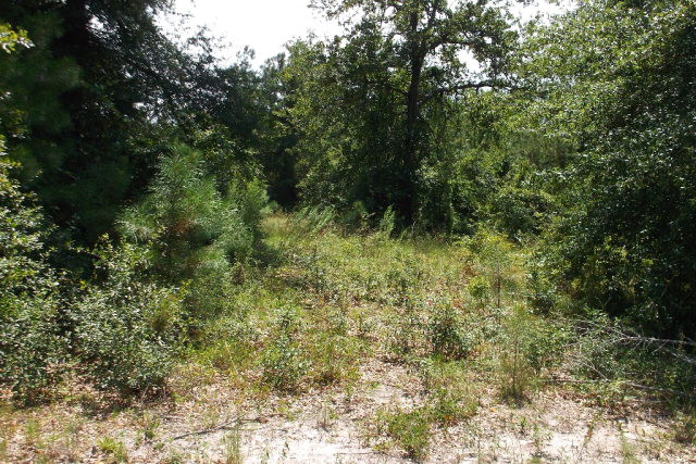 6 Knight Road Waynesboro, GA 30830 - Photo 1 of 2 Main View