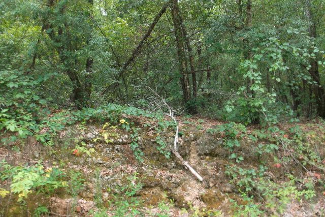 6 Knight Road Waynesboro, GA 30830 - Photo 2 of 2 Gallery Image 2