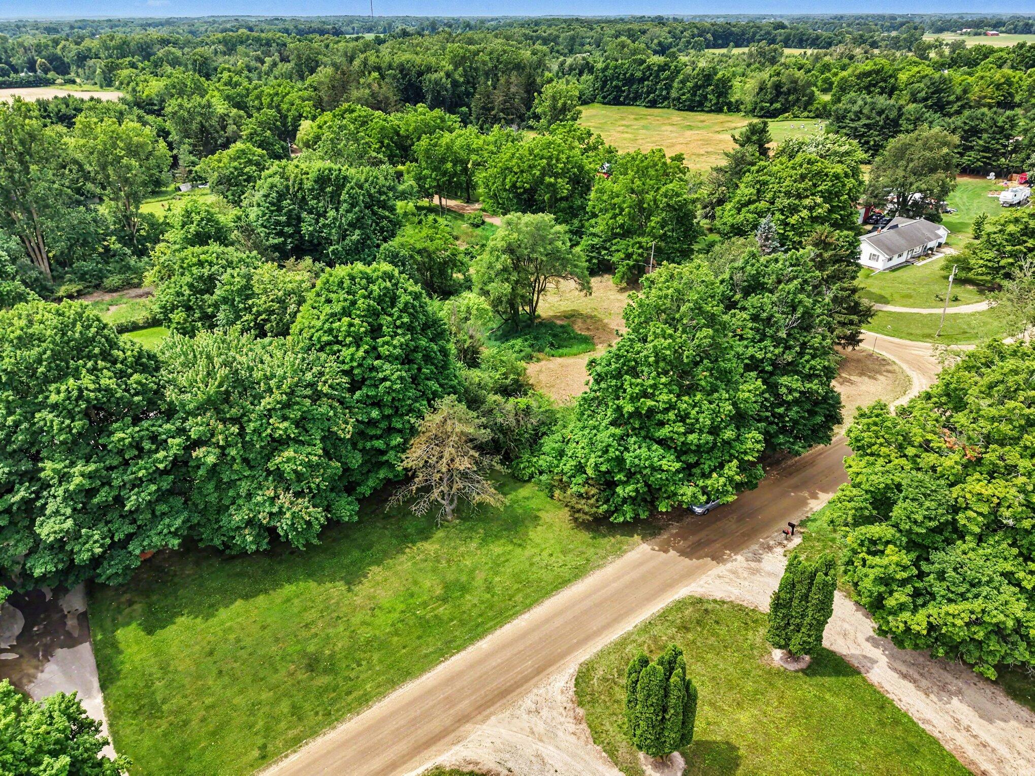 491 Peterson Road Ionia, MI 48846 - Photo 7 of 22 006_file_4377