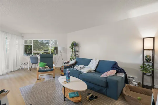 a living room with furniture and a couch