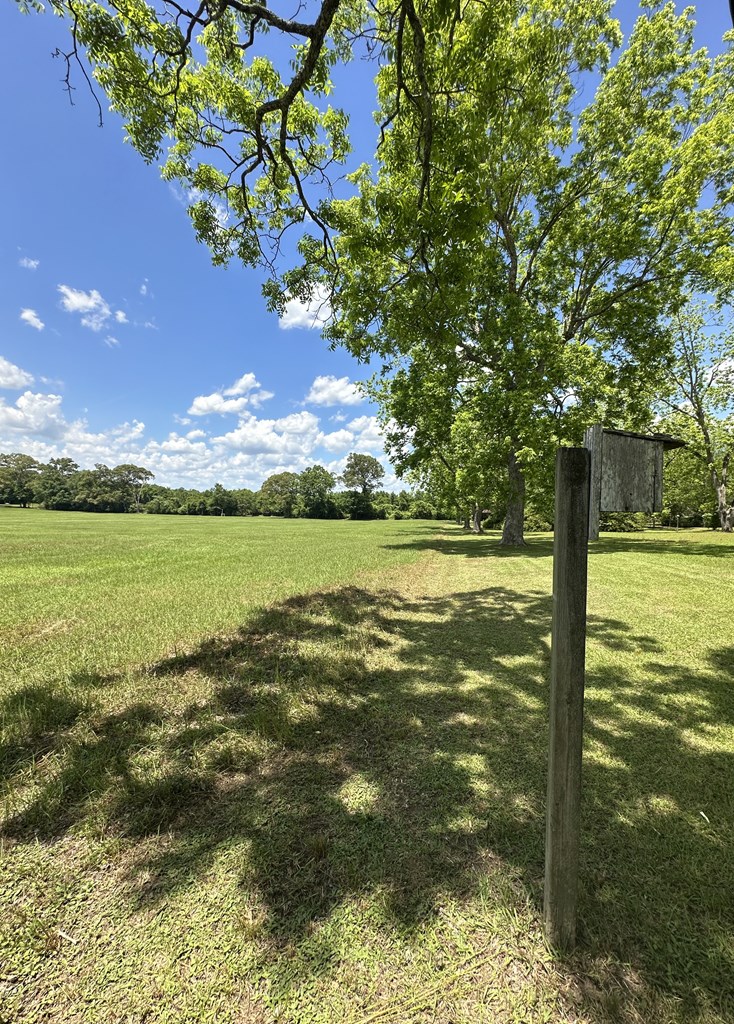 3845 Old Atmore Road Flomaton, AL 36441 - Photo 3 of 9