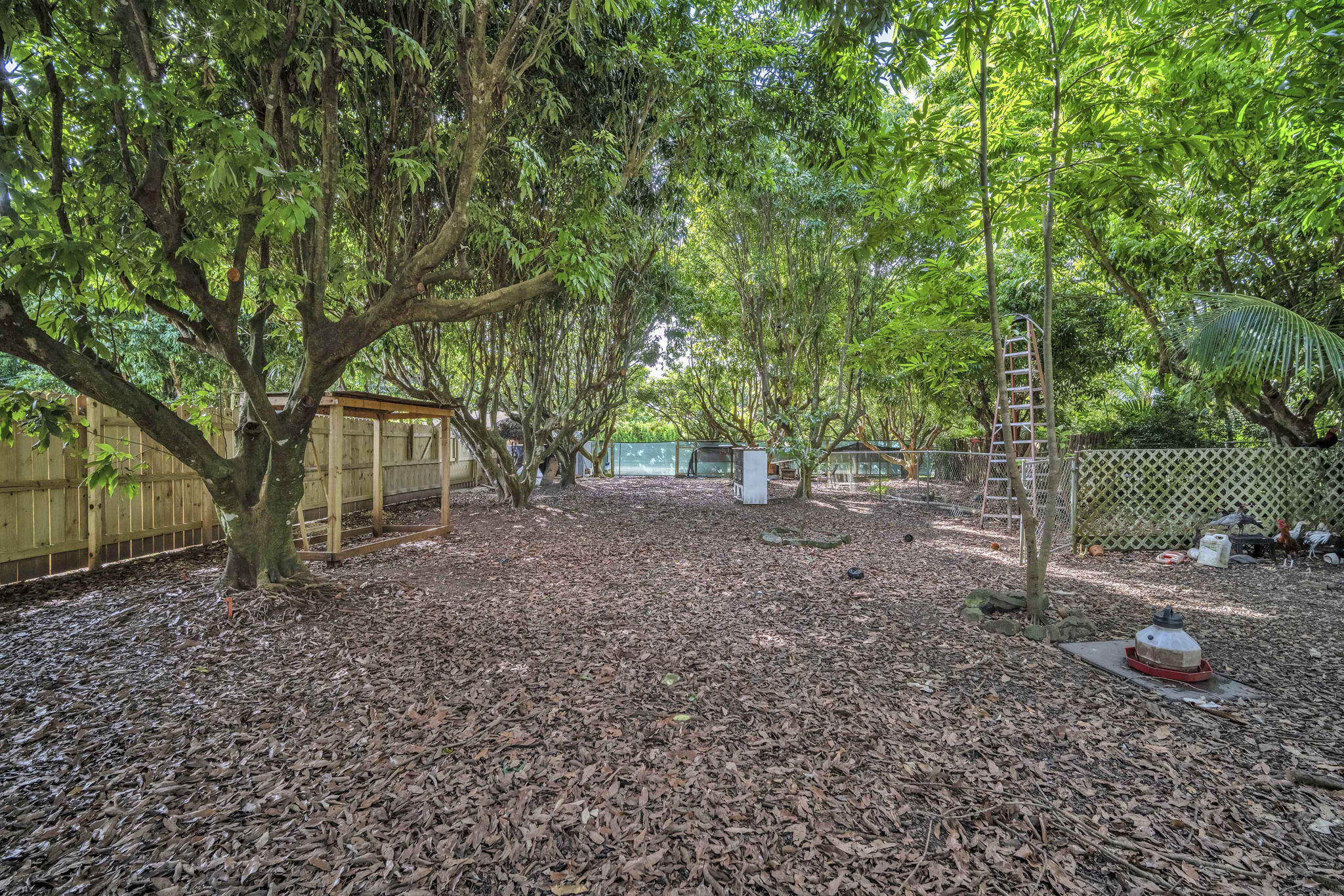 15225 Southwest 235th Street Homestead, FL 33032 - Photo 73 of 96 45-web-or-mls-DSC_6291