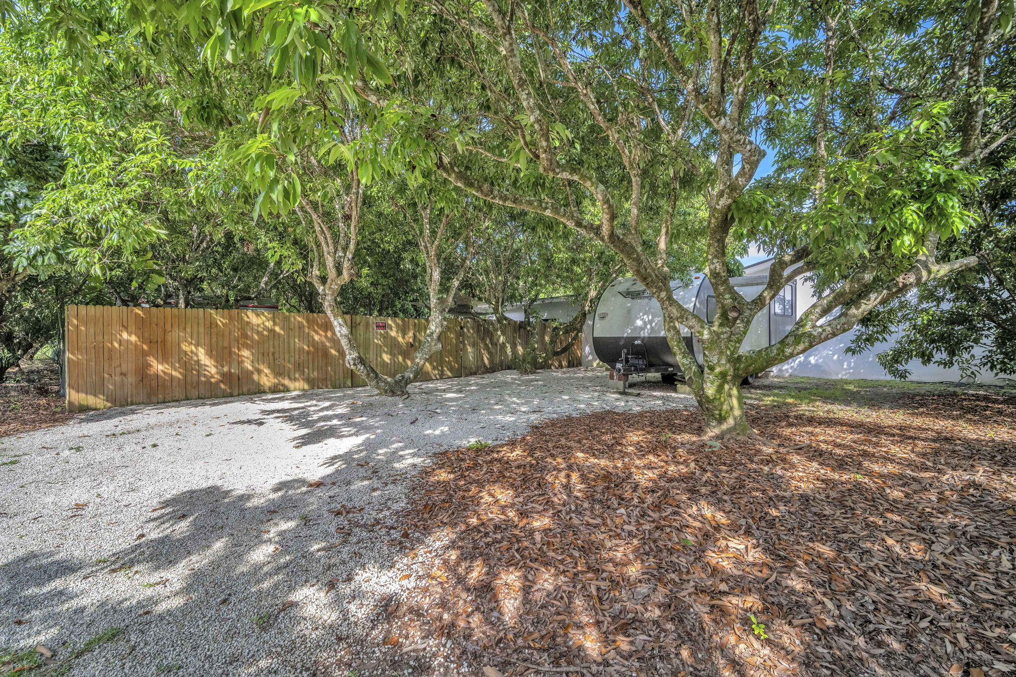 15225 Southwest 235th Street Homestead, FL 33032 - Photo 75 of 96 a view of a tree in the middle of a yard