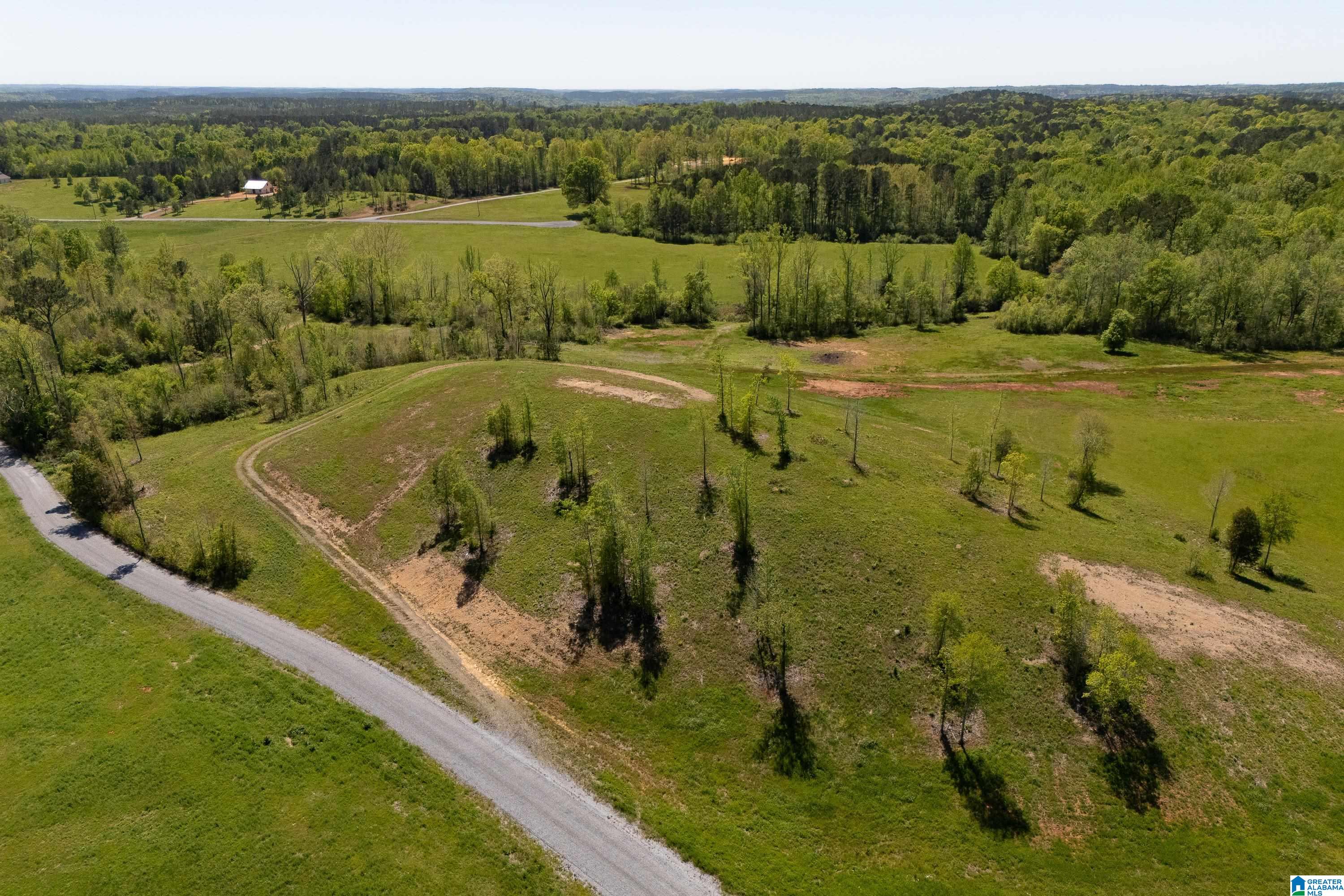 935 Shelby Lakes Ranch Way, Unit 28 Shelby, AL 35143 - Photo 9 of 37
