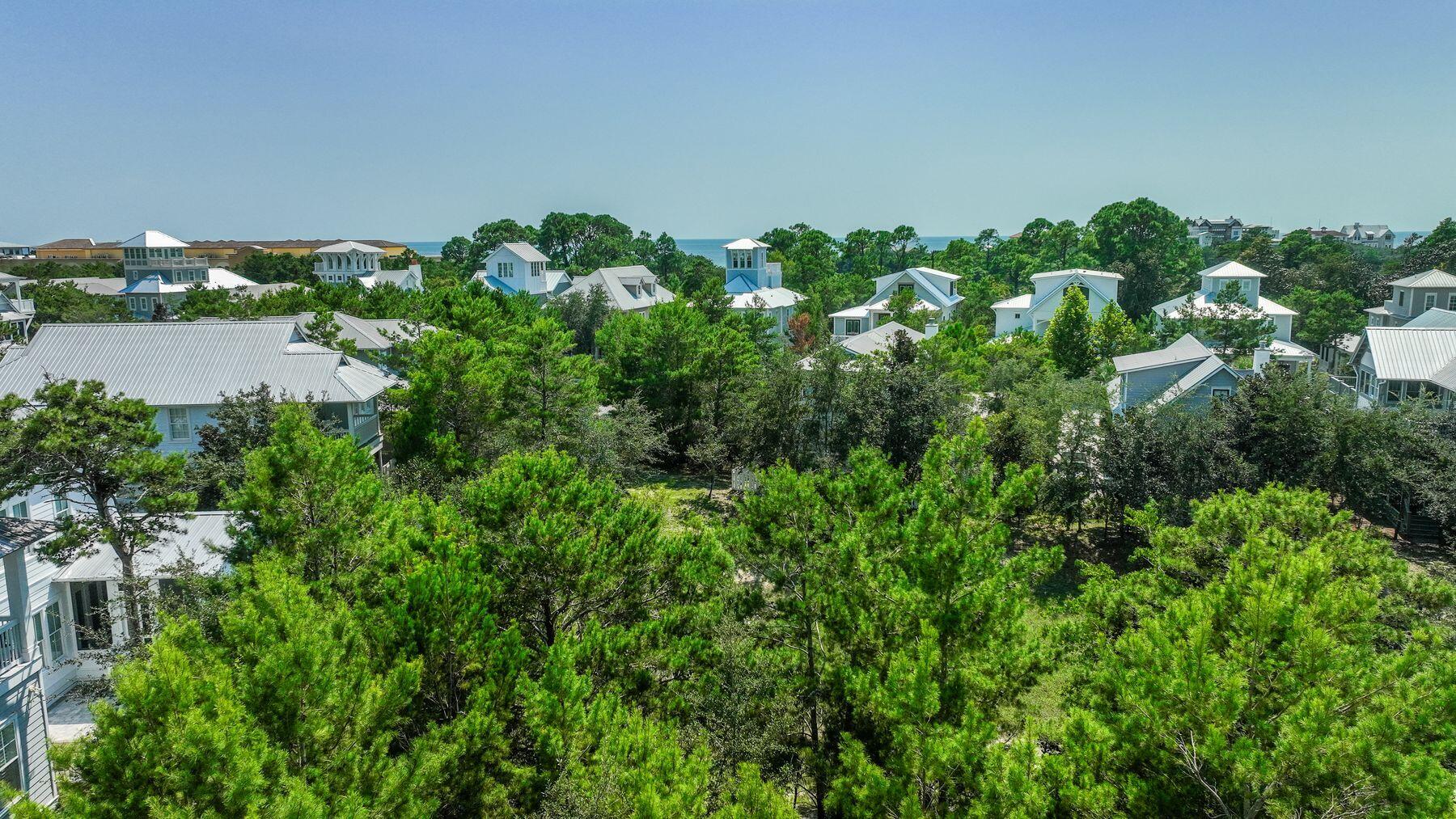 275 Morgan's Trail Santa Rosa Beach, FL 32459 - Photo 11 of 24 photo_online_010