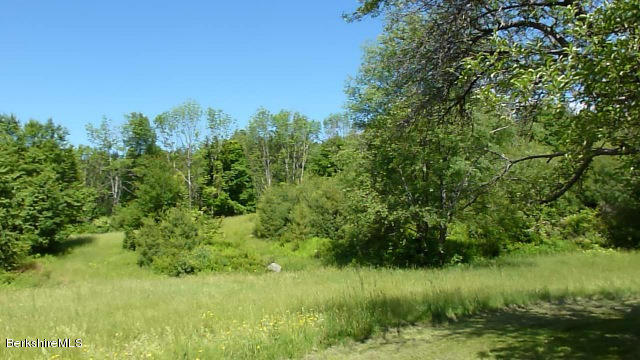 457 Horrigan Road Clarksburg, MA 01247 - Photo 22 of 32 a view of a lake from a yard