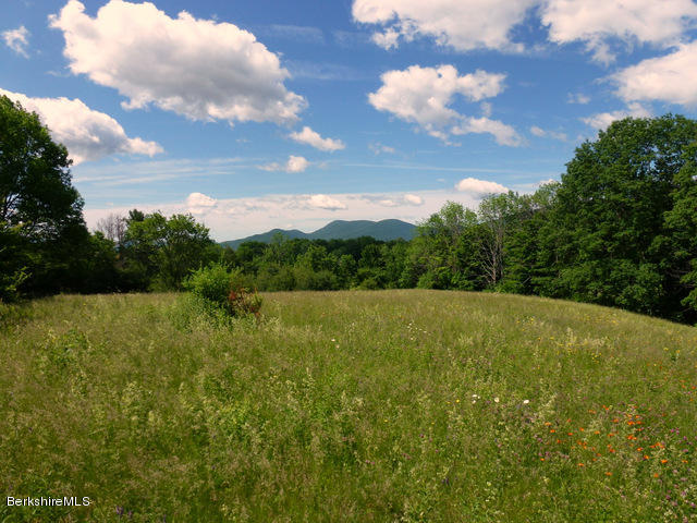 457 Horrigan Road Clarksburg, MA 01247 - Photo 24 of 32 a view of outdoor space and yard