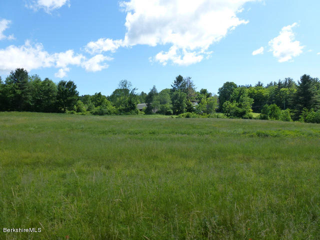 457 Horrigan Road Clarksburg, MA 01247 - Photo 25 of 32 a view of a big yard with large trees