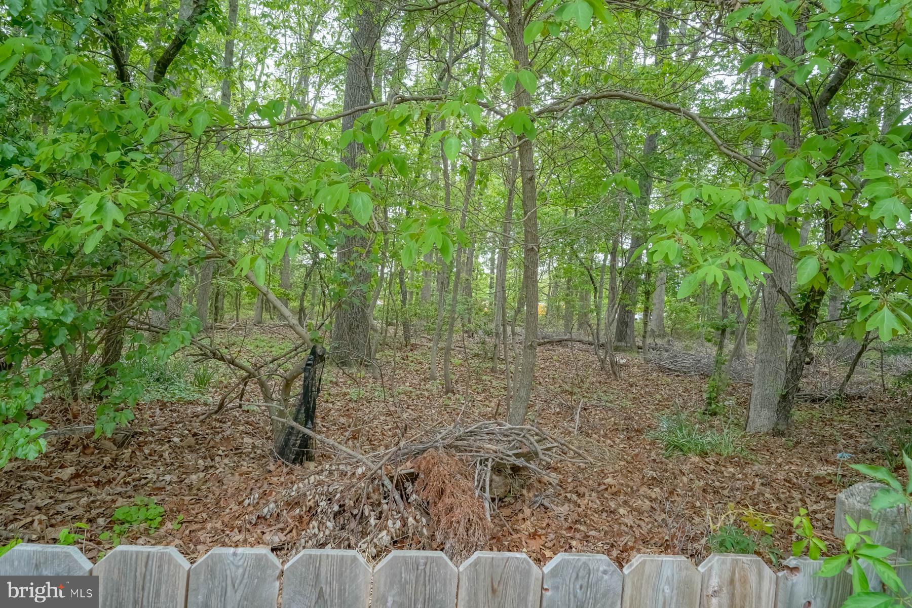 943 Sykesville Road Williamstown, NJ 08094 - Photo 36 of 37