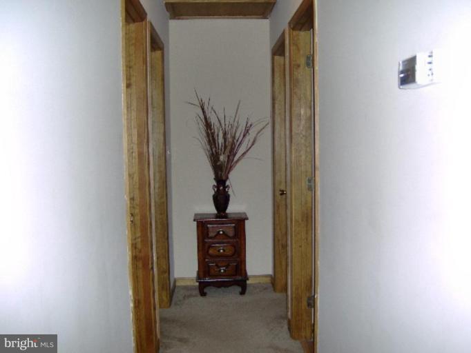 3020 Bachman Road Manchester, MD 21102 - Photo 2 of 15 Hallway