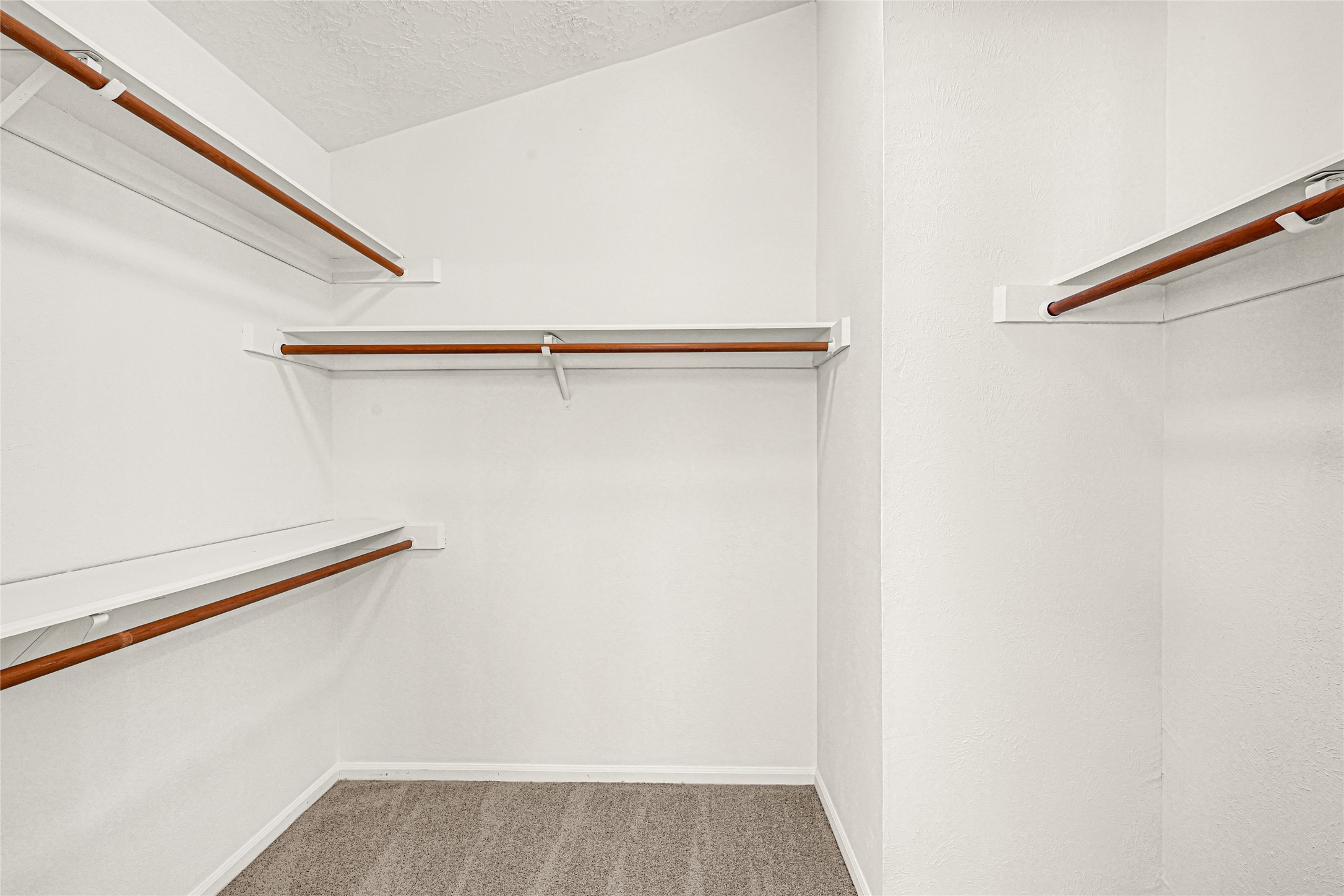 10210 Crooks Way Court Houston, TX 77065 - Photo 40 of 50 a view of closet