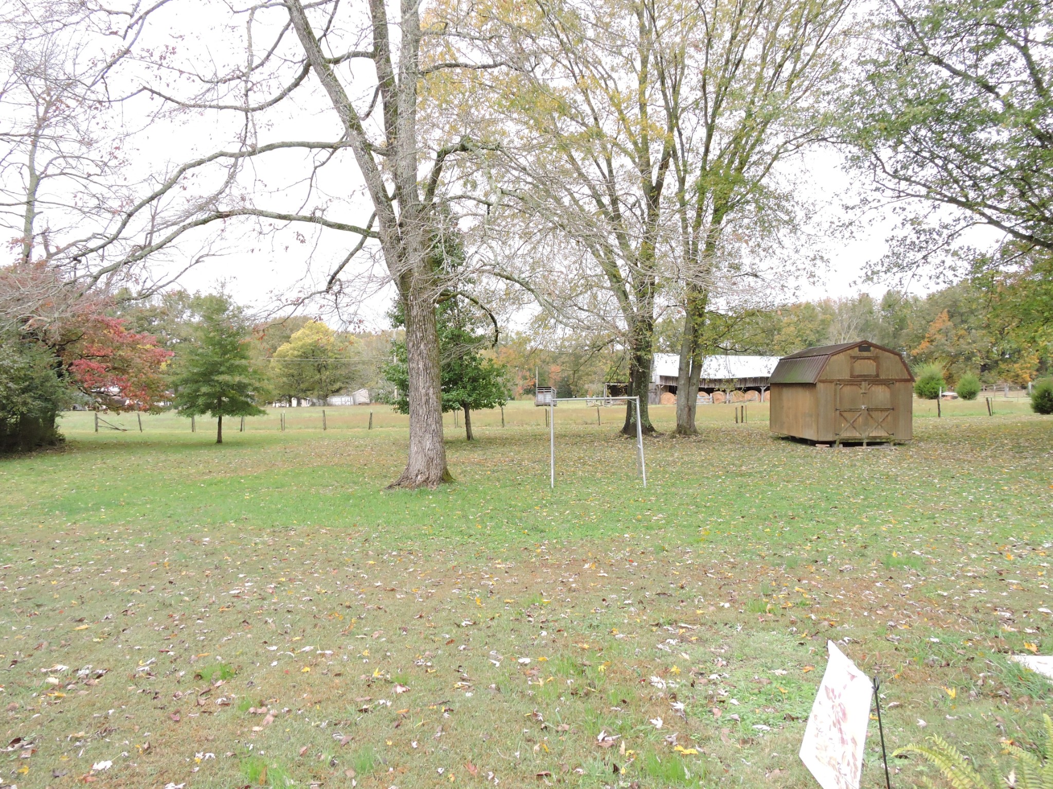 631 Riley Creek Road Tullahoma, TN 37388 - Photo 25 of 27 a view of yard with tree and green space