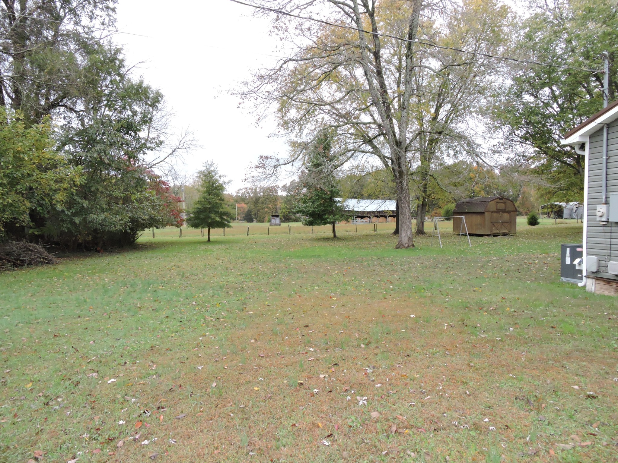 631 Riley Creek Road Tullahoma, TN 37388 - Photo 26 of 27 a view of a tree in a yard