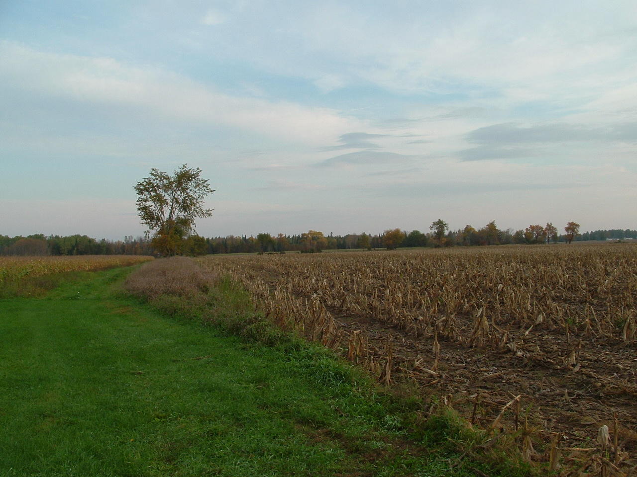 8668 Taylor Hawks Road Alpena, MI 49707 - Photo 19 of 20 Gallery Image 19