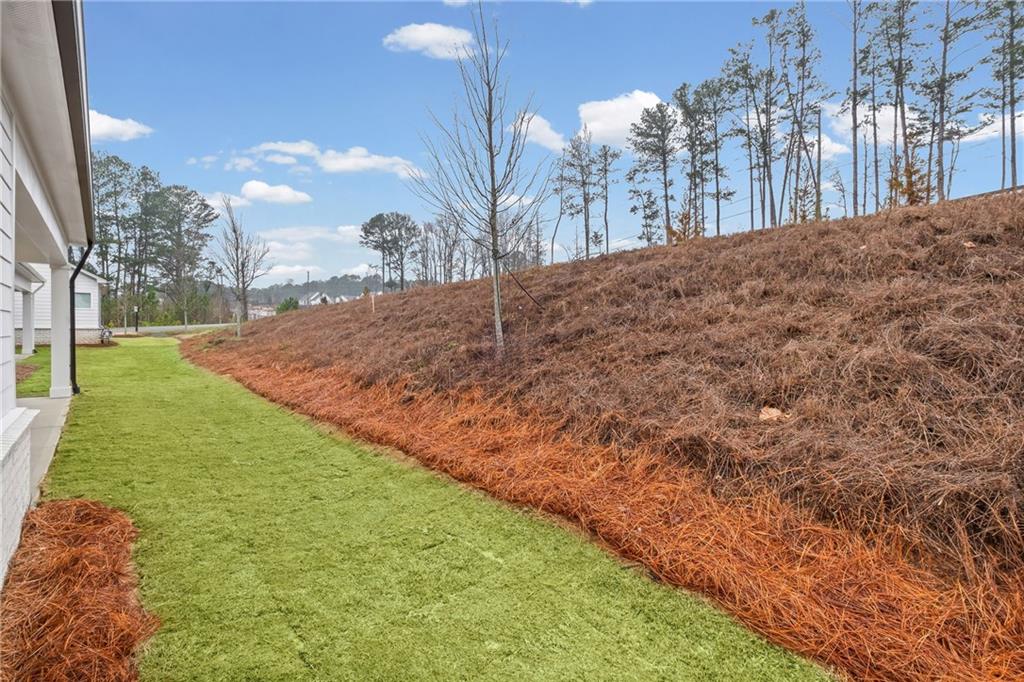 178 Mooney Road Woodstock, GA 30188 - Photo 34 of 42 a view of tall trees