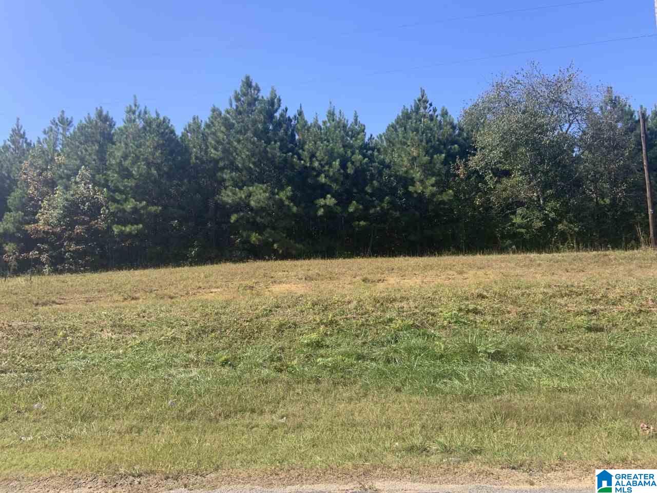 0 Mountainboro Road Boaz, AL 35956 - Photo 2 of 9 Gallery Image 2