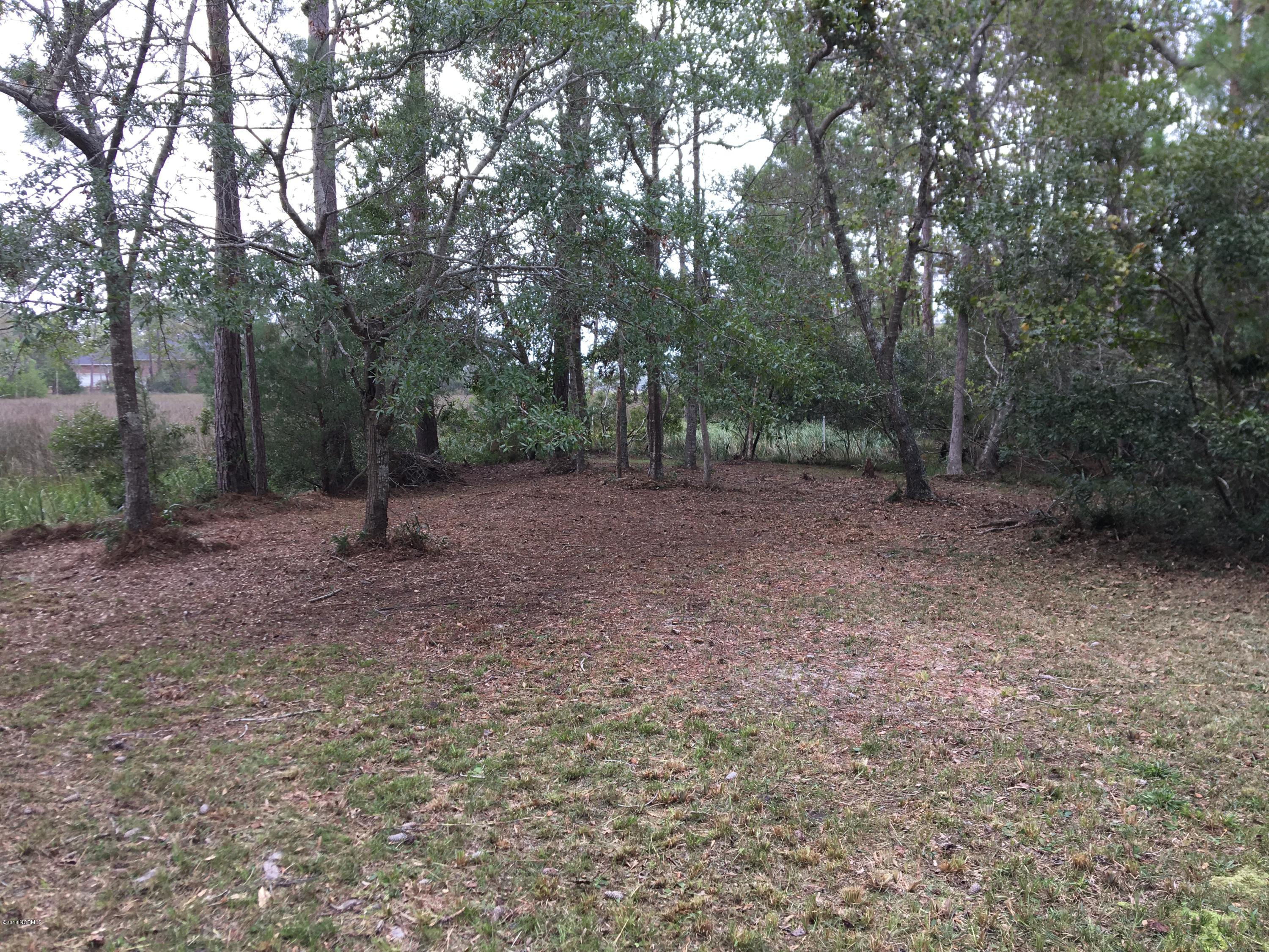 240 Genoe's Point Road Southwest Supply, NC 28462 - Photo 5 of 10 Genoes Pt. Rd. Back of Lot