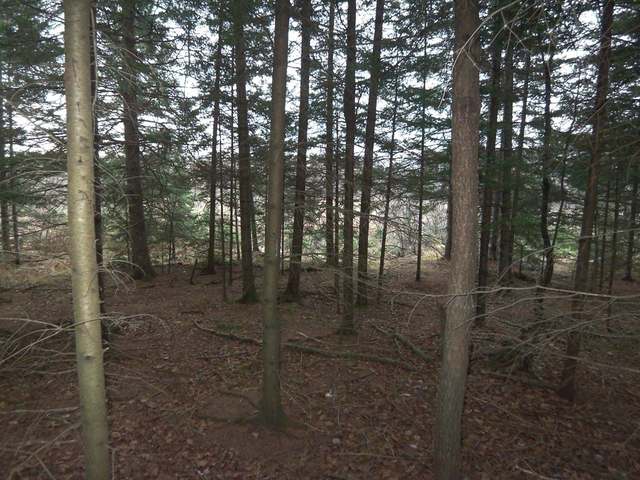 On Channel Road, Unit LOT 2 Eagle River, WI 54521 - Photo 5 of 14 Gallery Image 5