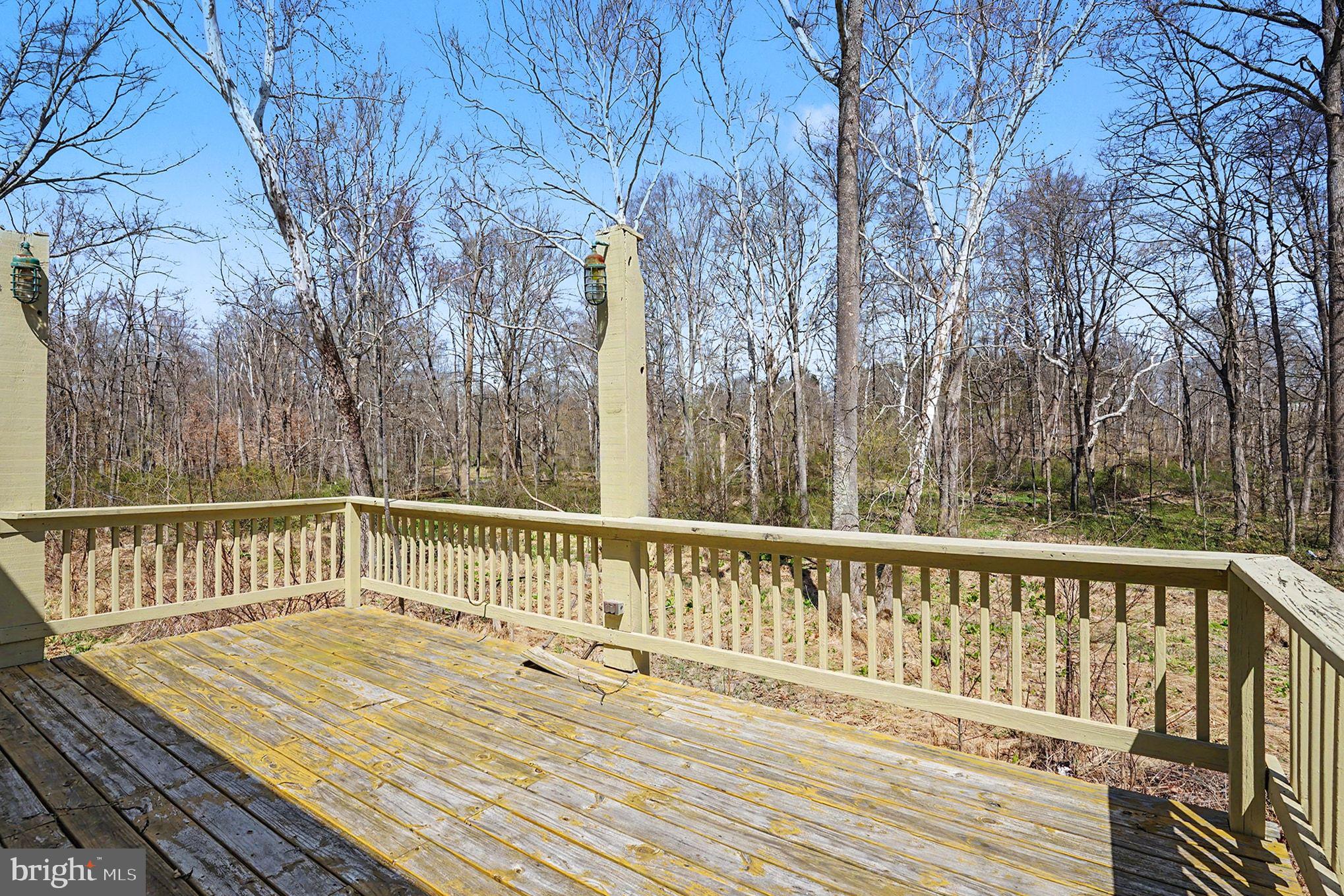 141 Papermill Road Barto, PA 19504 - Photo 34 of 47