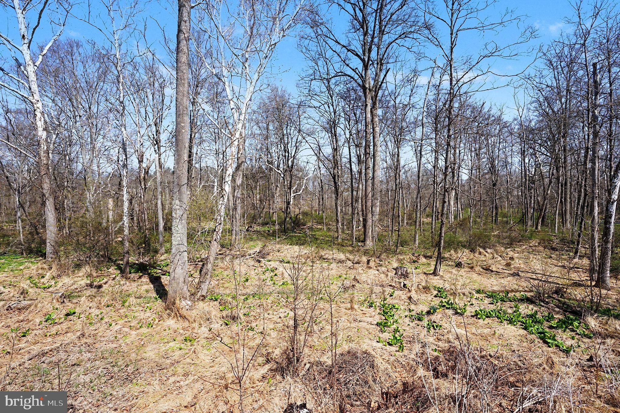 141 Papermill Road Barto, PA 19504 - Photo 40 of 47