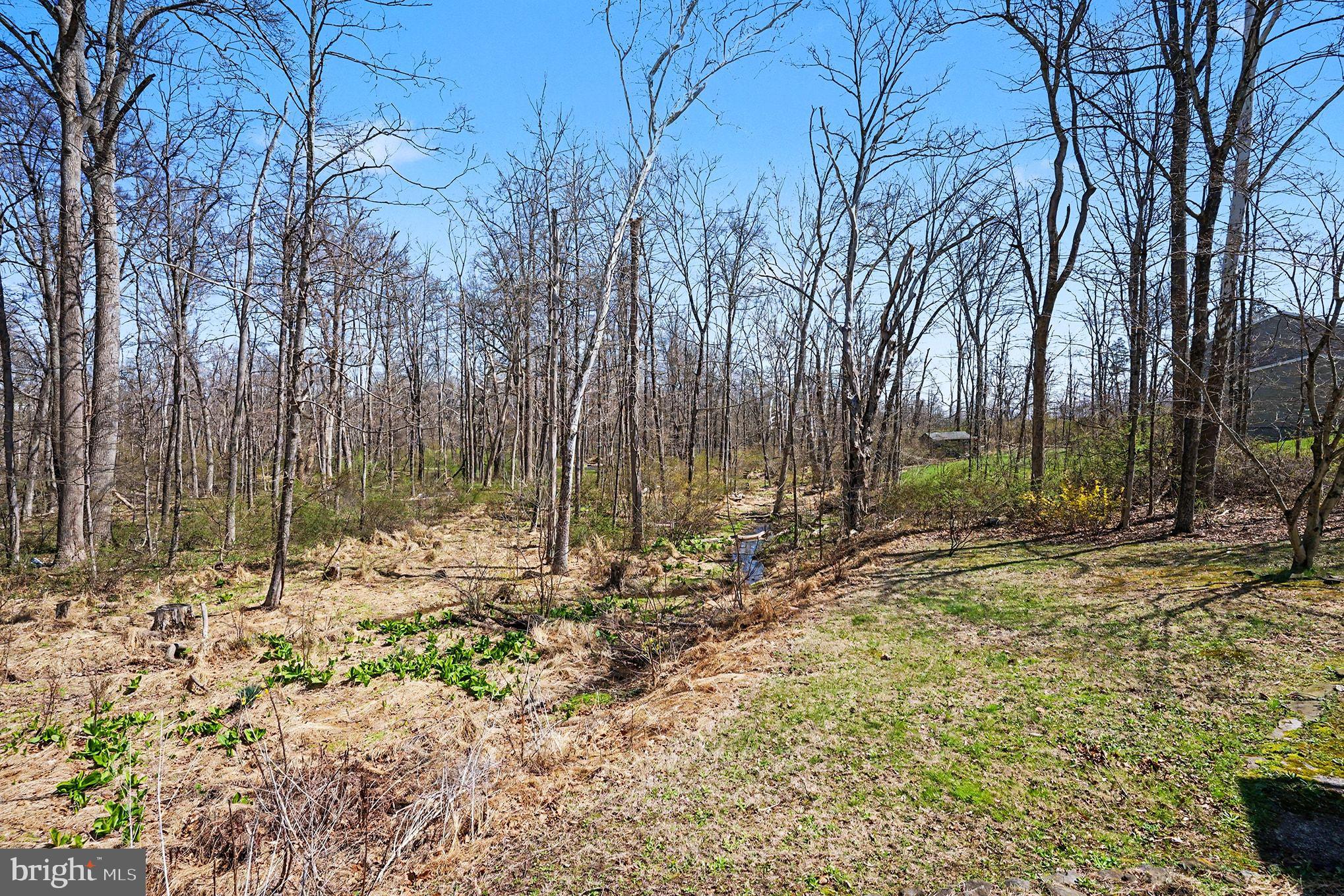 141 Papermill Road Barto, PA 19504 - Photo 41 of 47