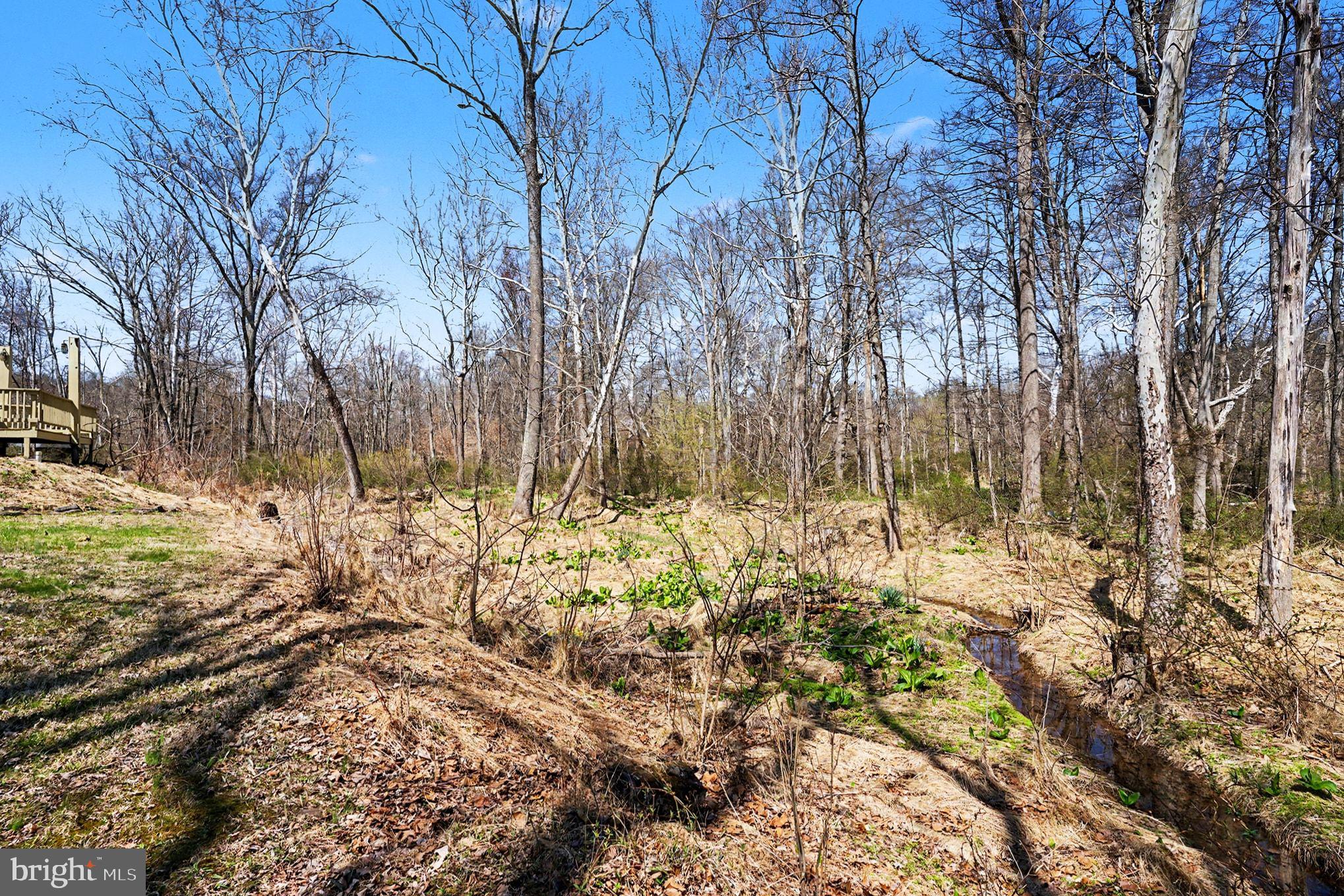 141 Papermill Road Barto, PA 19504 - Photo 42 of 47