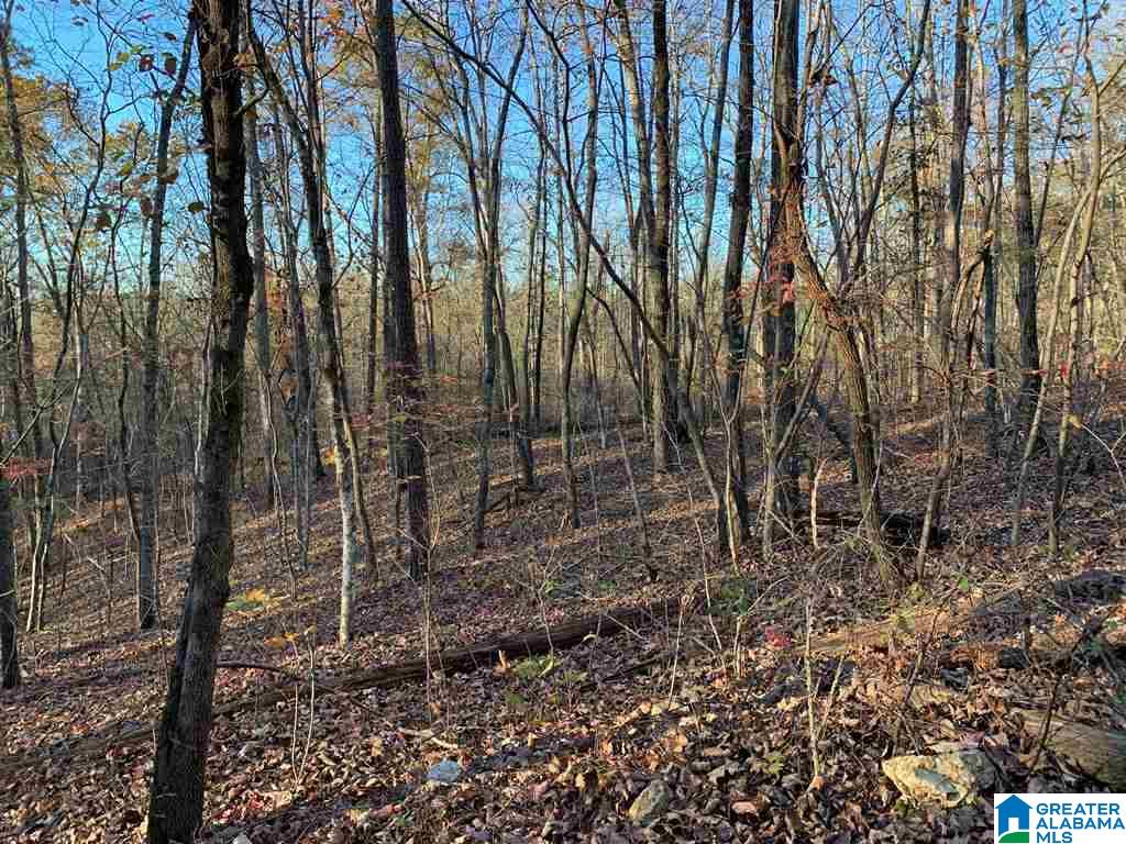 240 Larkhaven Lane, Unit 20 ACRES Springville, AL 35146 - Photo 11 of 17