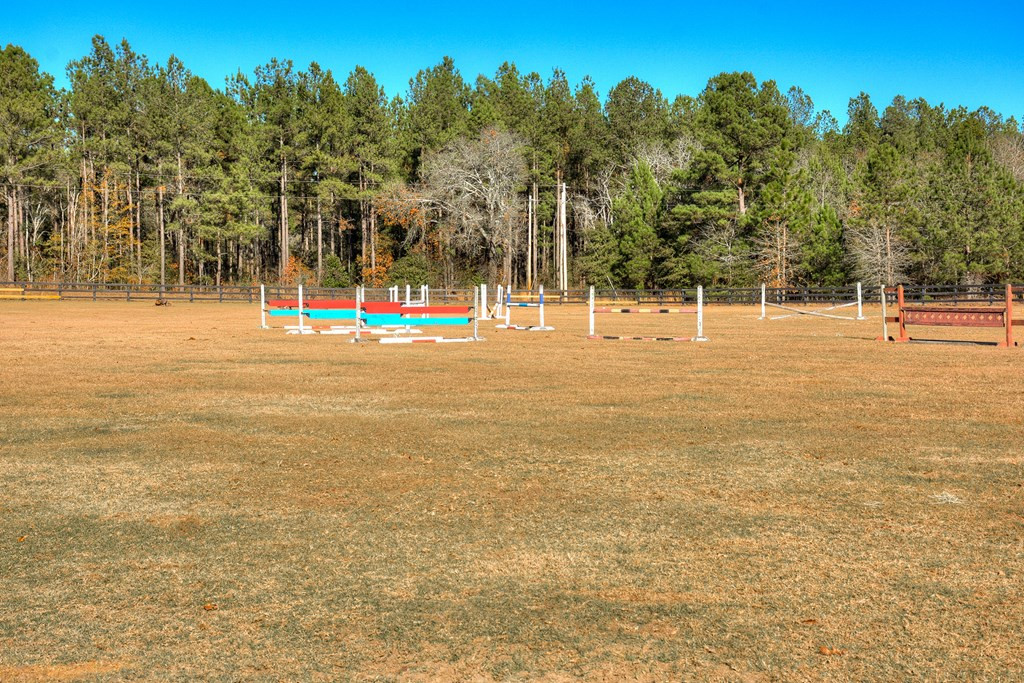 448 Long Cane Road Williston, SC 29853 - Photo 13 of 53