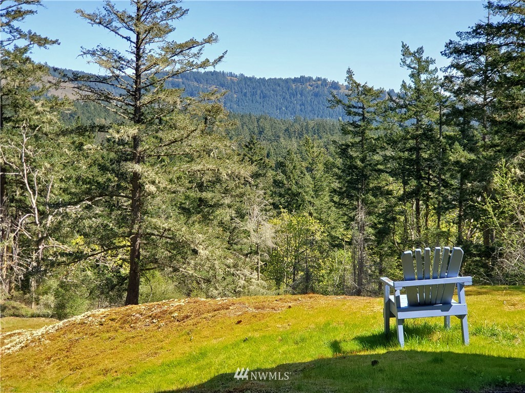 400 Cormorant Bay Road Orcas Island, WA 98245 - Photo 23 of 39 a view of a swimming pool with a yard