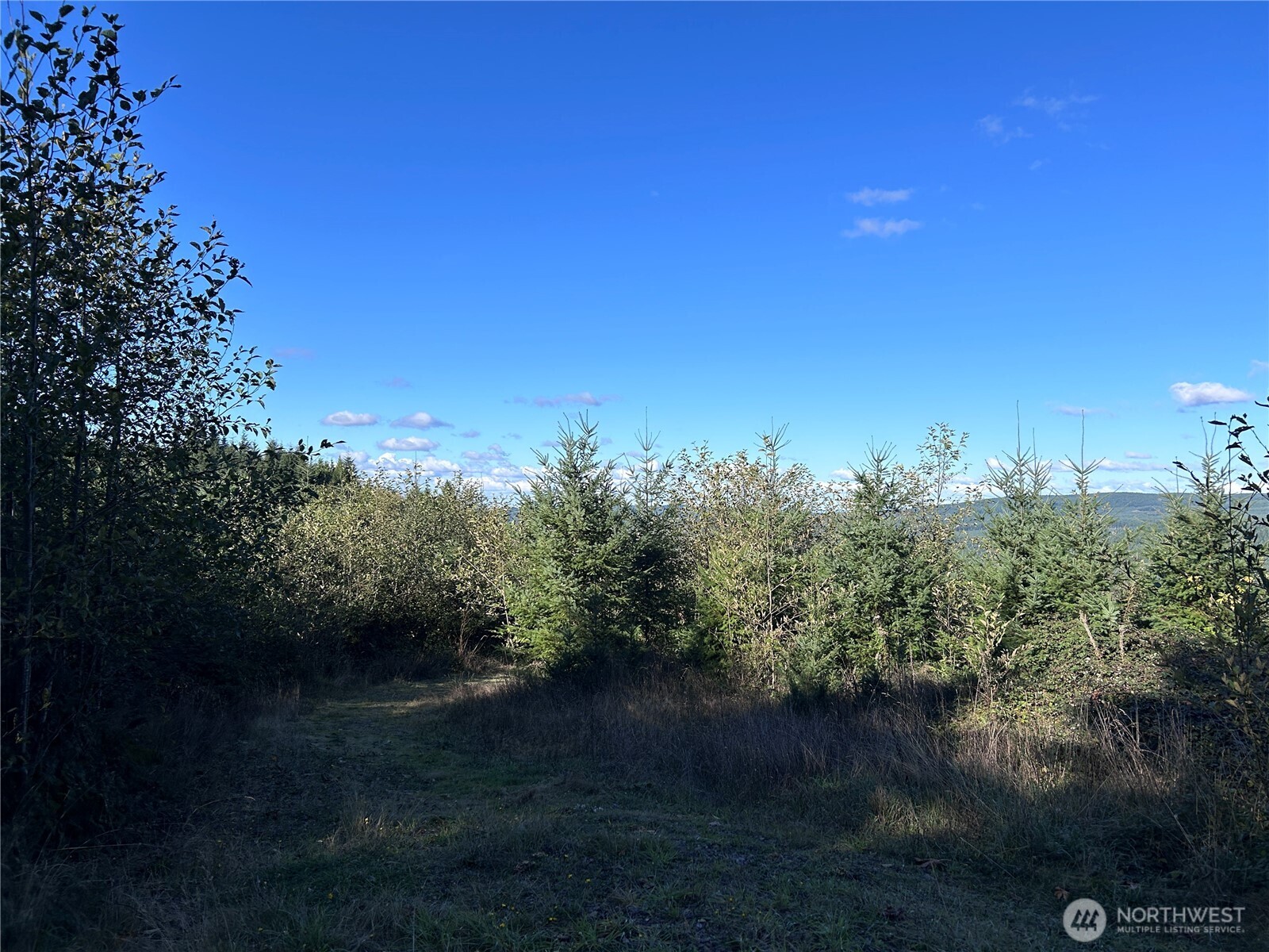 -nka Mt Brynion Road Kelso, WA 98626 - Photo 2 of 3 a view of a lake