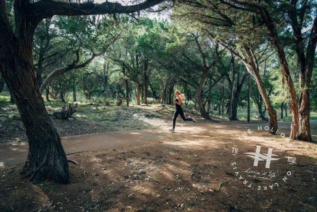 an aerial view of a house with garden space and mountain view