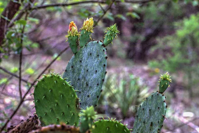 an aerial view of a houses with outdoor space